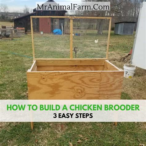 metal brooder box|homemade brooder box plans.